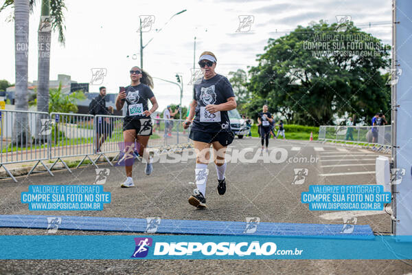 Cats Run Londrina 2025