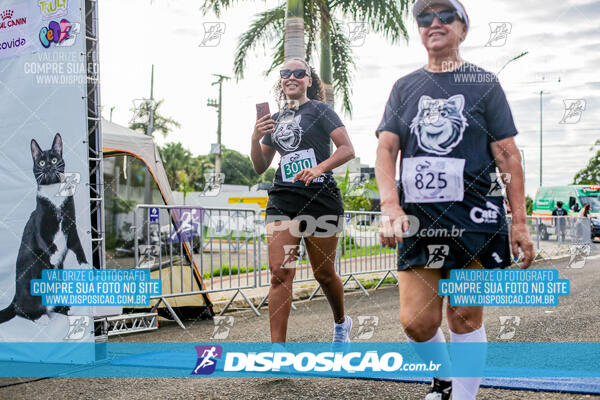 Cats Run Londrina 2025