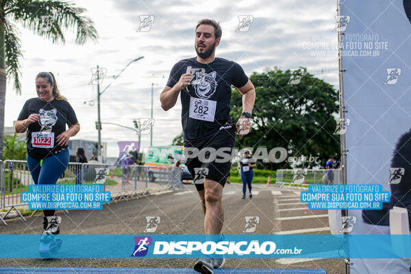 Cats Run Londrina 2025