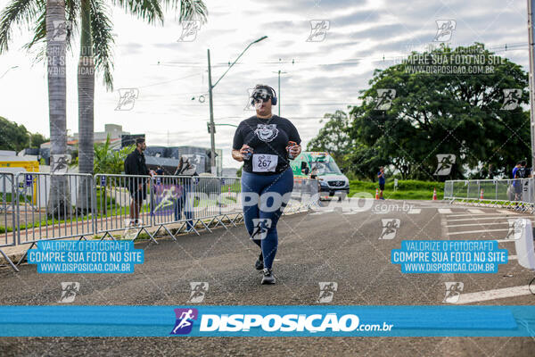 Cats Run Londrina 2025