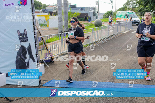 Cats Run Londrina 2025