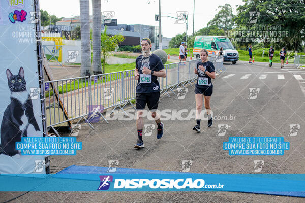 Cats Run Londrina 2025