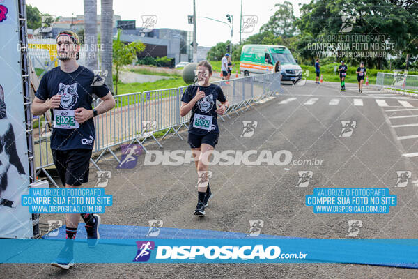 Cats Run Londrina 2025