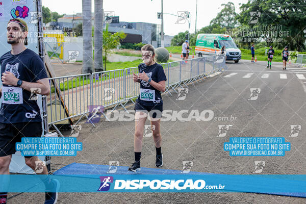 Cats Run Londrina 2025