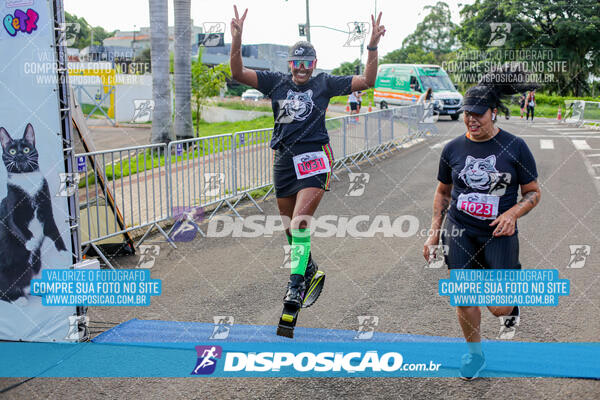 Cats Run Londrina 2025