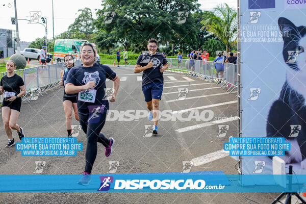 Cats Run Londrina 2025