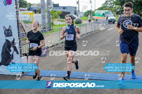 Cats Run Londrina 2025