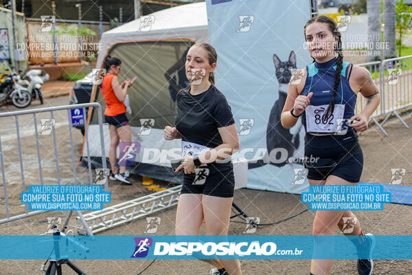 Cats Run Londrina 2025