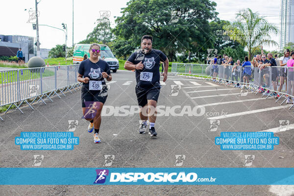 Cats Run Londrina 2025