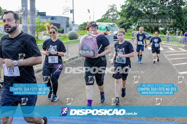 Cats Run Londrina 2025