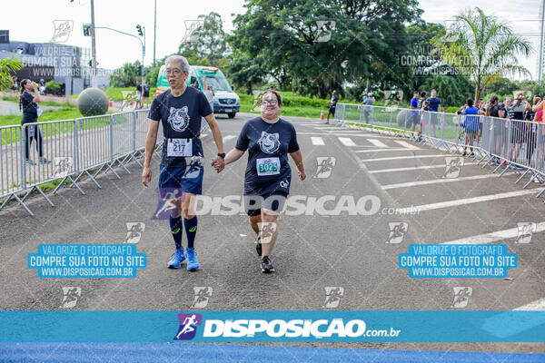 Cats Run Londrina 2025