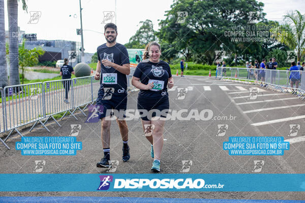 Cats Run Londrina 2025