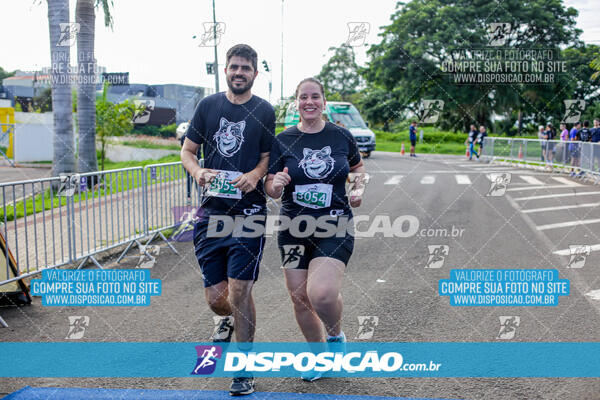 Cats Run Londrina 2025