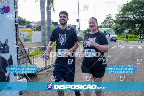 Cats Run Londrina 2025