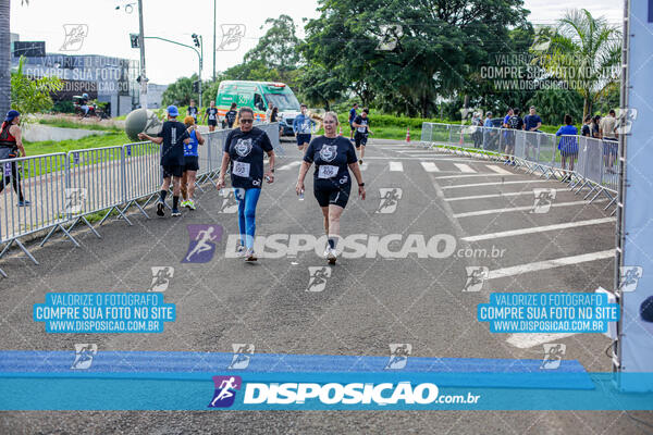 Cats Run Londrina 2025