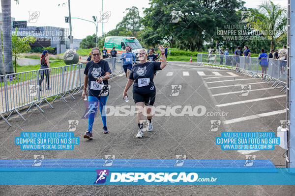 Cats Run Londrina 2025