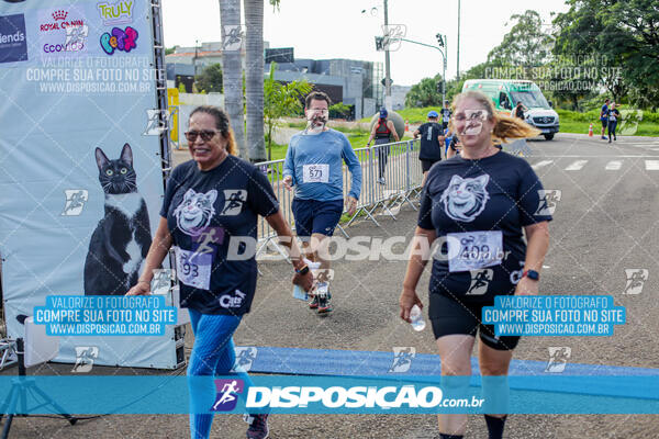 Cats Run Londrina 2025