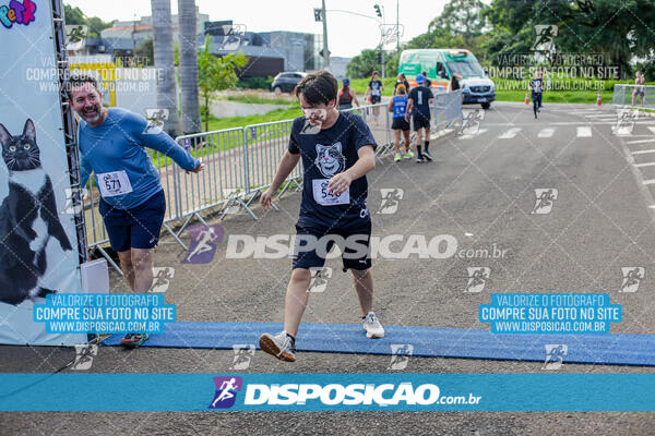 Cats Run Londrina 2025