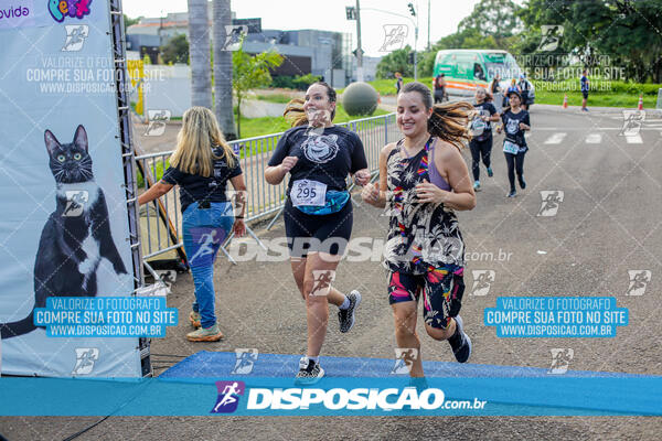 Cats Run Londrina 2025