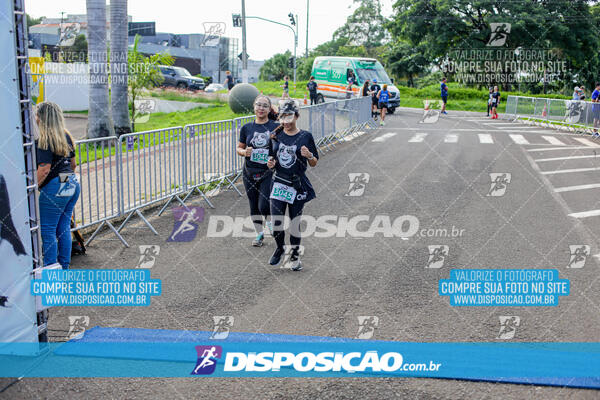 Cats Run Londrina 2025