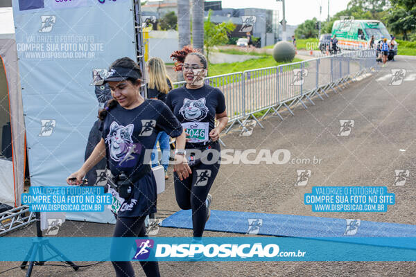 Cats Run Londrina 2025