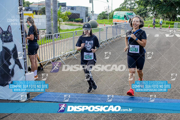 Cats Run Londrina 2025