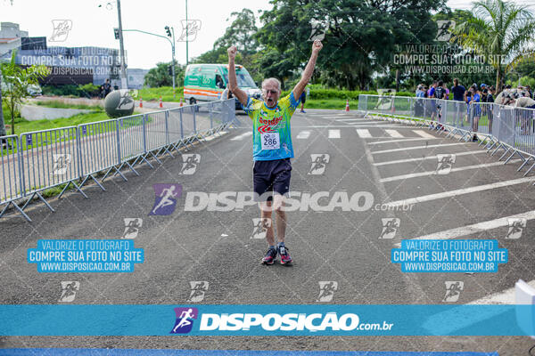 Cats Run Londrina 2025