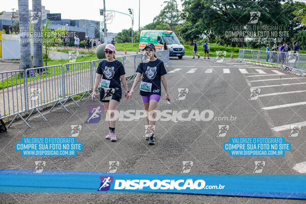 Cats Run Londrina 2025