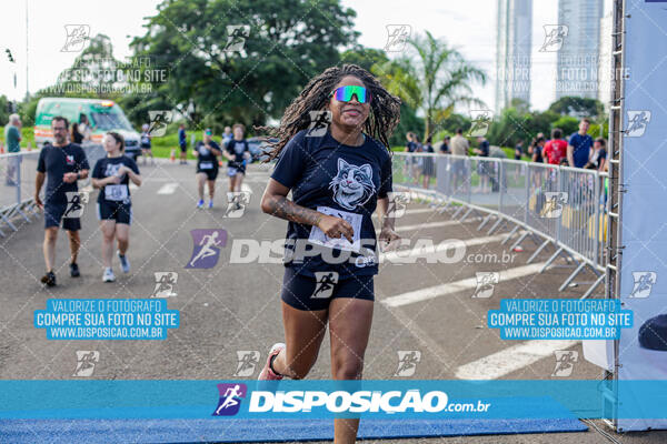 Cats Run Londrina 2025