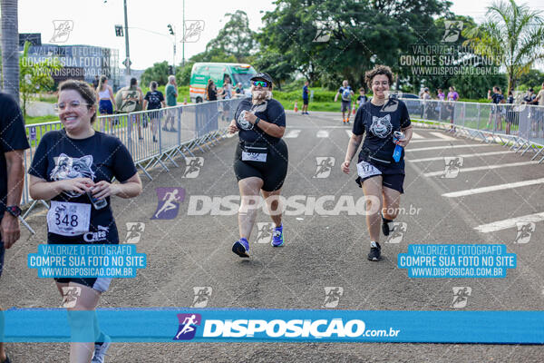 Cats Run Londrina 2025