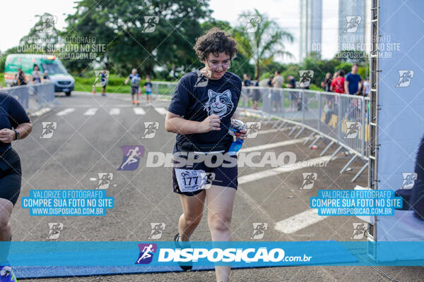 Cats Run Londrina 2025