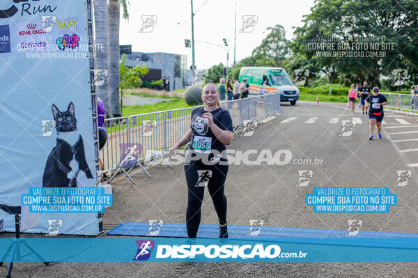 Cats Run Londrina 2025