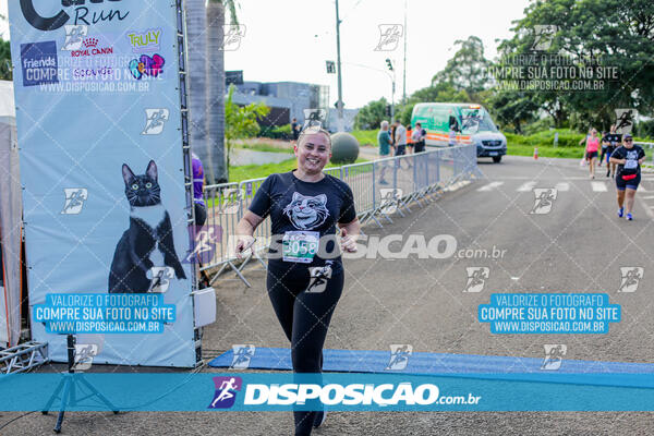 Cats Run Londrina 2025