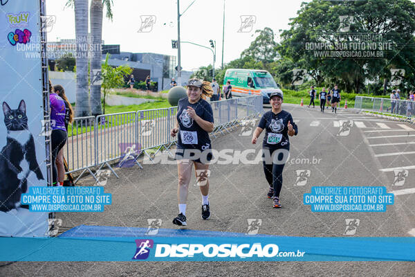 Cats Run Londrina 2025