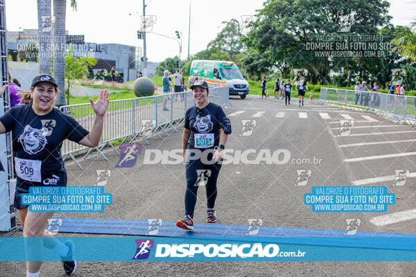 Cats Run Londrina 2025