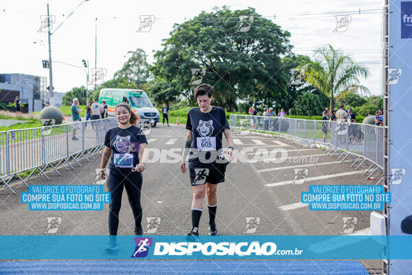 Cats Run Londrina 2025