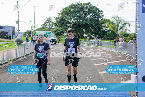 Cats Run Londrina 2025