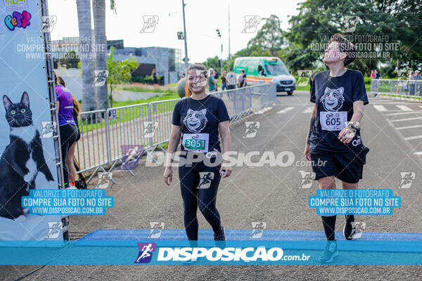 Cats Run Londrina 2025