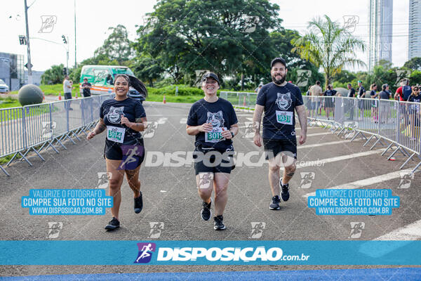 Cats Run Londrina 2025