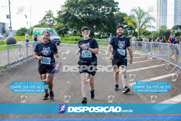 Cats Run Londrina 2025