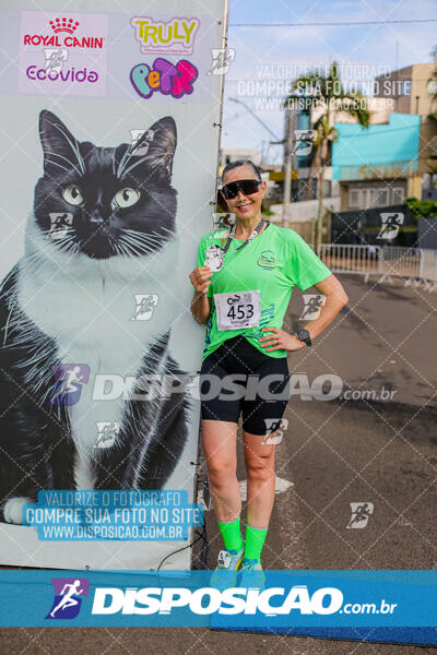 Cats Run Londrina 2025