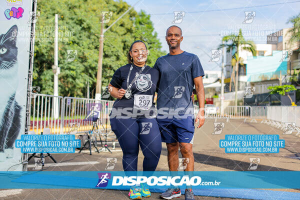 Cats Run Londrina 2025