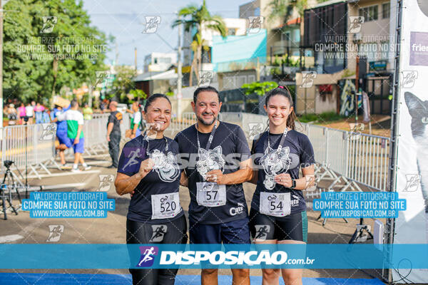 Cats Run Londrina 2025