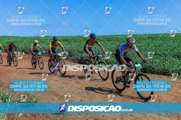 III GP Alvorada do Sul de MTB