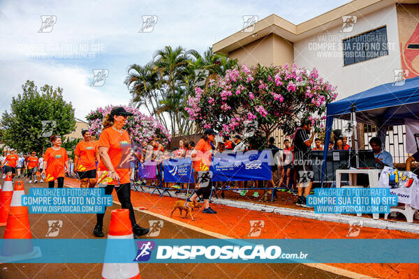 Circuito SESC de Corrida de Rua 2025 - Cornélio Procópio