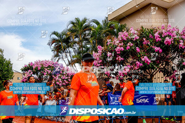 Circuito SESC de Corrida de Rua 2025 - Cornélio Procópio