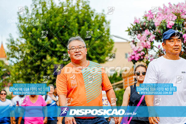 Circuito SESC de Corrida de Rua 2025 - Cornélio Procópio