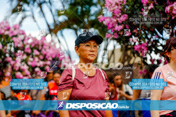 Circuito SESC de Corrida de Rua 2025 - Cornélio Procópio