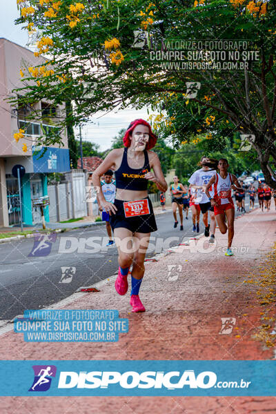 Circuito SESC de Corrida de Rua 2025 - Cornélio Procópio