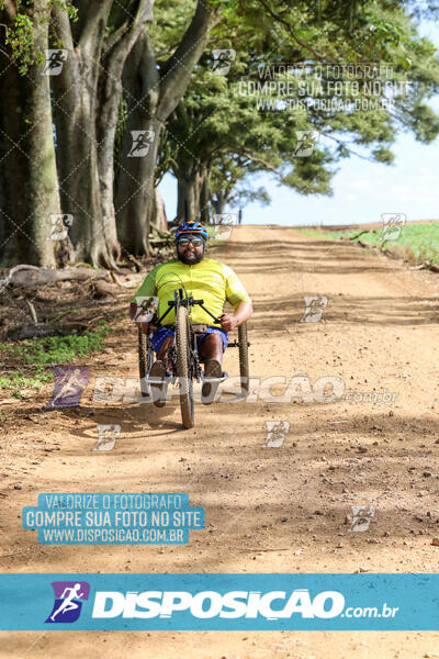 10º Caminhos de São José